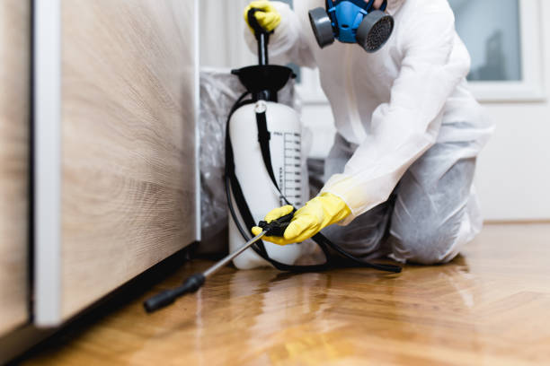 Best Wildlife Control Services  in East Rockaway, NY
