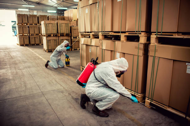 Best Termite Control Services  in East Rockaway, NY