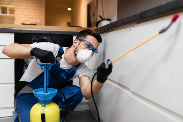 Best Pest Control Near Me  in East Rockaway, NY