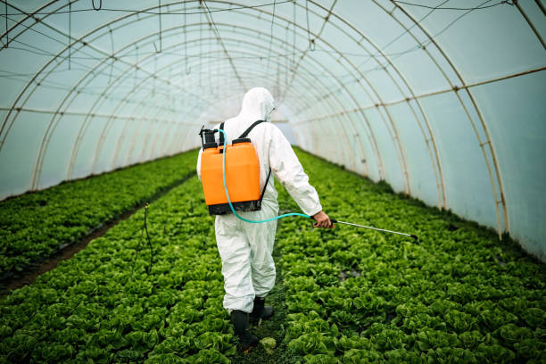 Best Affordable Pest Control Services  in East Rockaway, NY