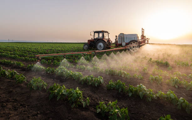 Best Mosquito Control Services  in East Rockaway, NY