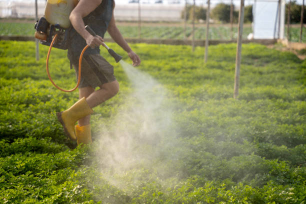 Best Affordable Pest Control Services  in East Rockaway, NY