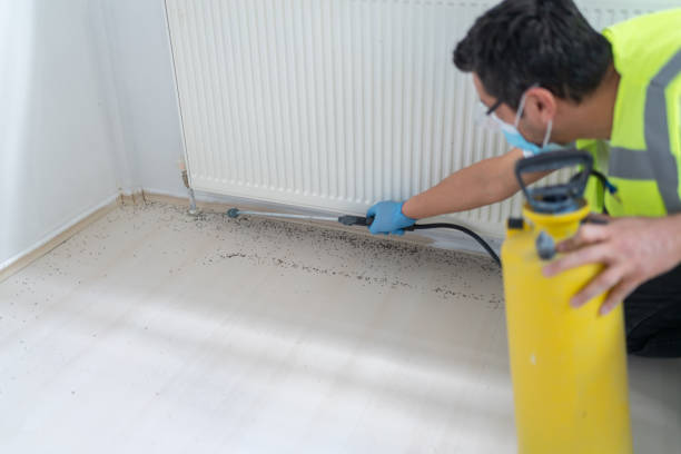 Best Bed Bug Extermination  in East Rockaway, NY