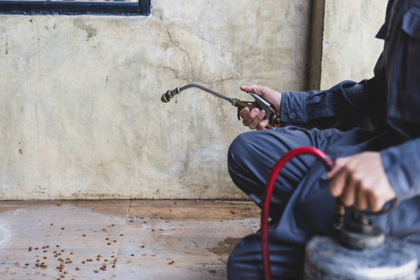 Best Residential Pest Control  in East Rockaway, NY